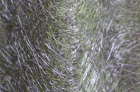 Saltfleetby All Saints fibreglass roof work